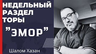 Недельный раздел Торы "Эмор"