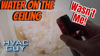 Water Dripping From Ceiling But I'm Innocent This Time