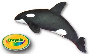 Making of Crayola Orca Whale