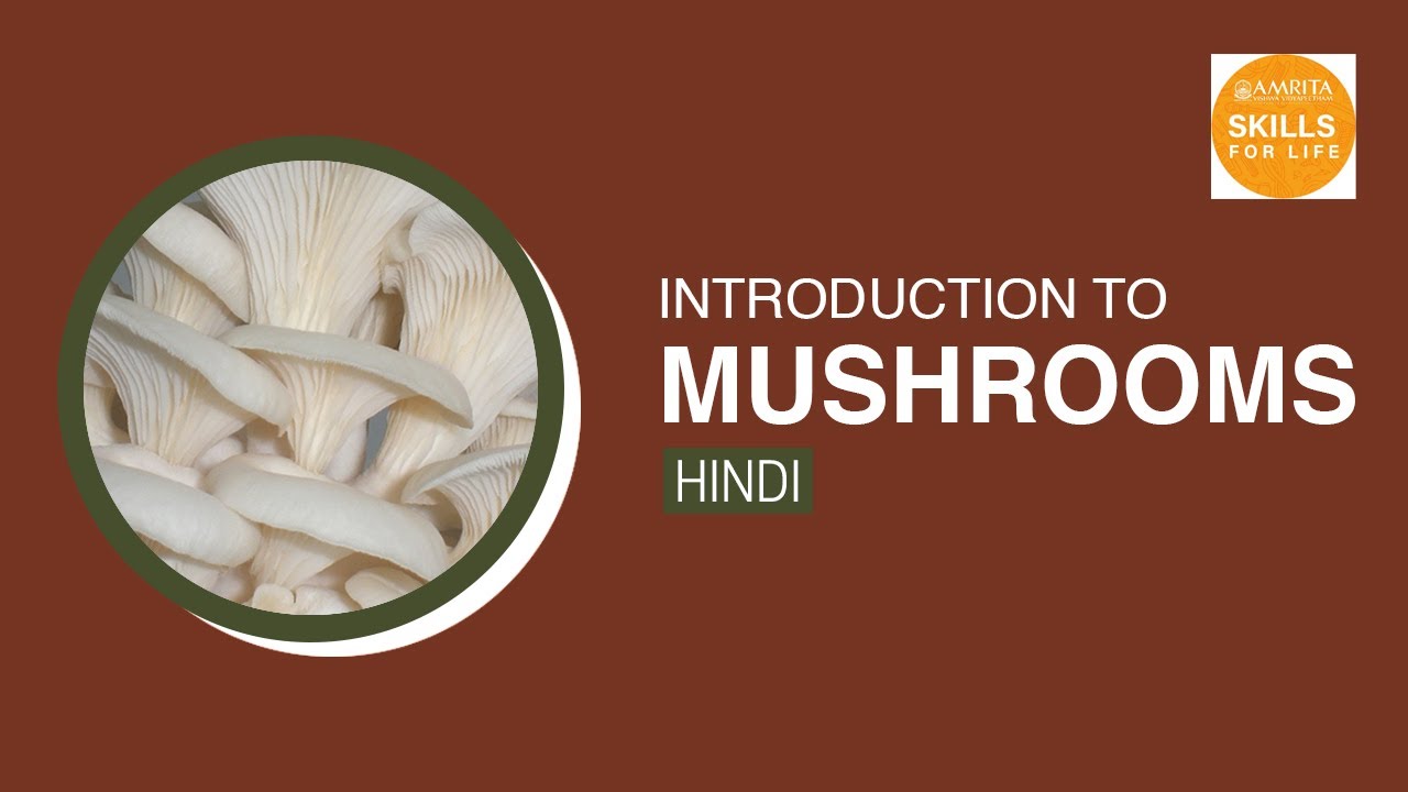 01. Introduction To Mushrooms (Hindi) (हिंदी) YouTube