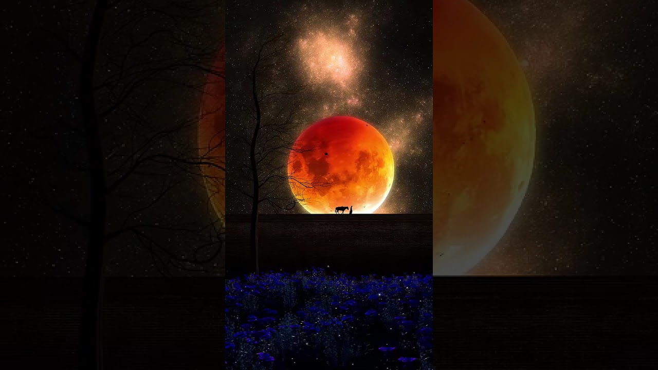 《月光跨越了距離也跨過了心》Same Moon, Different Places