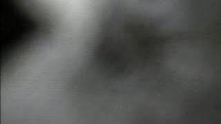 00000083