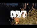 У НАС БЫЛО ВСЁ, НО ЧТО ТО ПОШЛО НЕ ПО ПЛАНУ. Подборка интересных моментов Dayz.