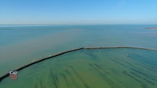 Cap Sud Ouest Ile de Ré: la mer pour compagne.