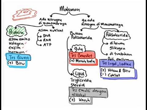 Soal Soal Biologi Sbmptn Dan Pembahasan I Youtube