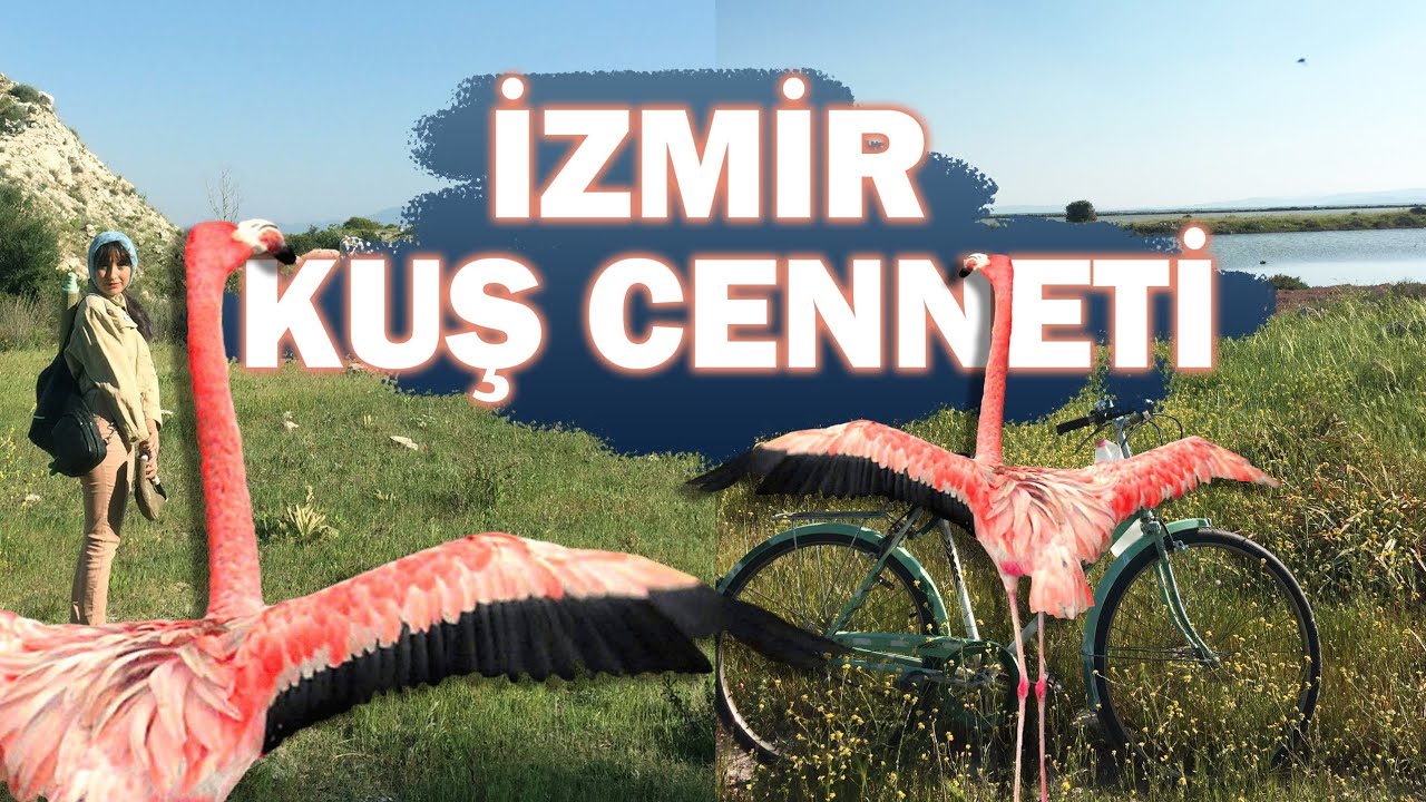 İZMİR KUŞ CENNETİ TURU #izmirkuşcenneti #kuşcenneti