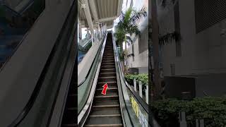 HOW TO GET NGONG PI G 360 CRYSTAL CABIN #enjoy#ride#ofwlife#hongkong