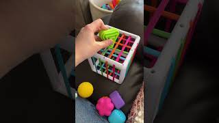 Everything to know about this cute toy!