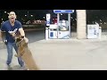 Police K9 Takes Down Gunman Accused Of Las Vegas Shooting Spree