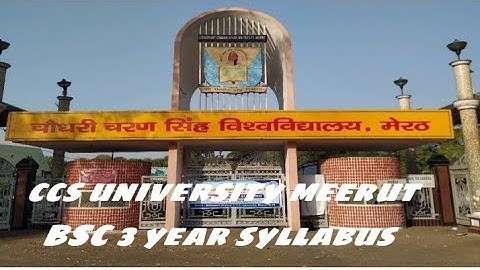 ccs university meerut BSC 3 year syllabus zoology and botany and chemistry or maths and physics