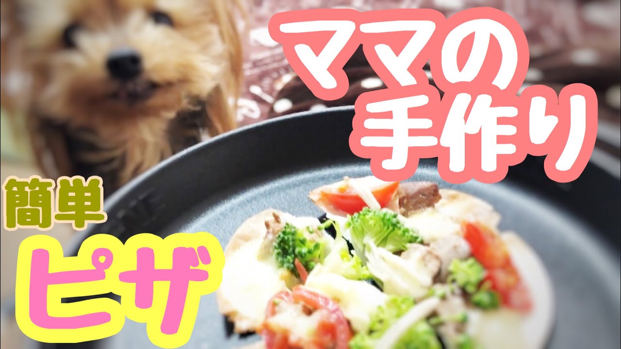 犬用ピザレシピ おやつにトースターで簡単に作ってみた 犬動画のイヌドーガ