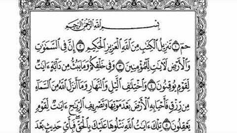 الشيخ نعمة الحسان سورة الجاثية