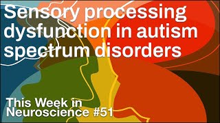 TWiN 51: Sensory processing dysfunction in autism spectrum disorders