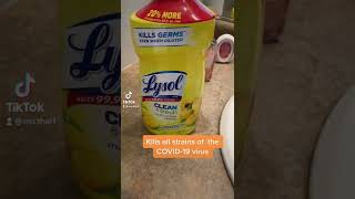 Steam cleaning Serving the Hudson Valley screenshot 2