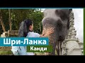 Шри-Ланка/ Канди/ Что посмотреть?