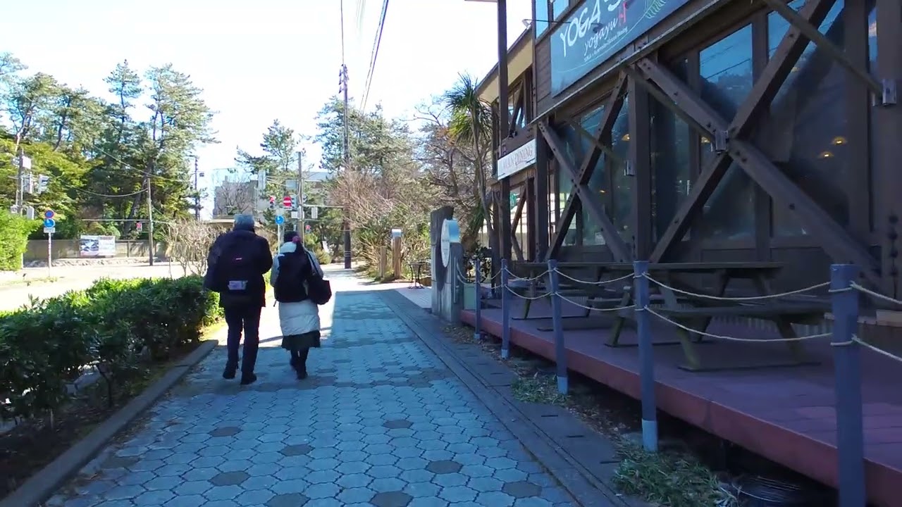 【蒼き敷石の回廊に刻まれた追憶の律動 ―― 木漏れ日の透過する硝子窓と冬枯れの街路樹が織りなす静謐な歩道の境界線で、去り行く背中が綴る無言の物語】#散歩 #哲学 #木漏れ日