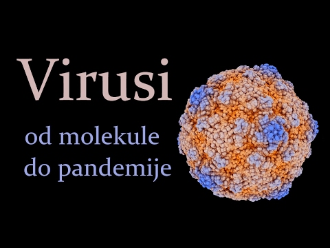 Virusi: od molekule do pandemije
