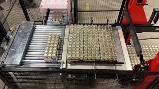 Stac Semi Automated Palletizer