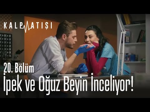 İpek ve Oğuz beyin inceliyor! - Kalp Atışı 20. Bölüm