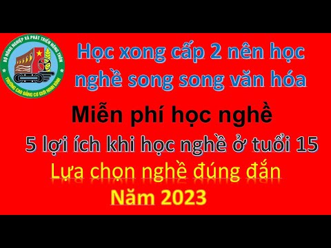 Học xong cấp 2 nên đi học nghề. 5 lợi ích khi quyết định học nghề ở tuổi 15. Miễn phí học nghề. - youtube