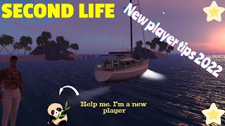 Second Life - Discussing Premium Plus Membership & Homesteads