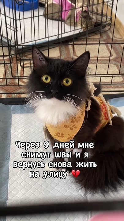 Доставка в другие города Г.Саранск Информация в шапке профиля 🙏🏽 - YouTube