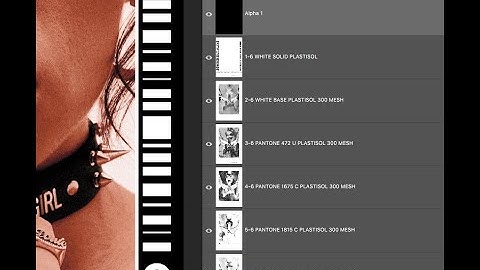 Alexis Rosario Sixelar founder explains how a photo-real color separation is done