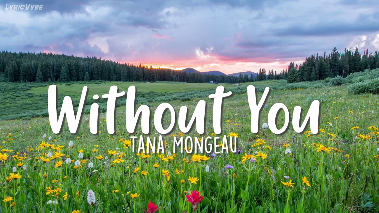 Tana Mongeau Without You Lyrics Youtube