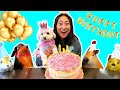 SURPRISE BIRTHDAY PARTY FOR MY DOG!!