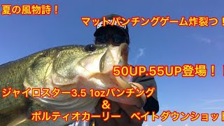 【バス釣り】55UP.50UP登場！ 夏の風物詩！マットパンチングゲーム炸裂っ！  ジャイロスター3.5の1ozパンチングでBIGバス連発っ！？