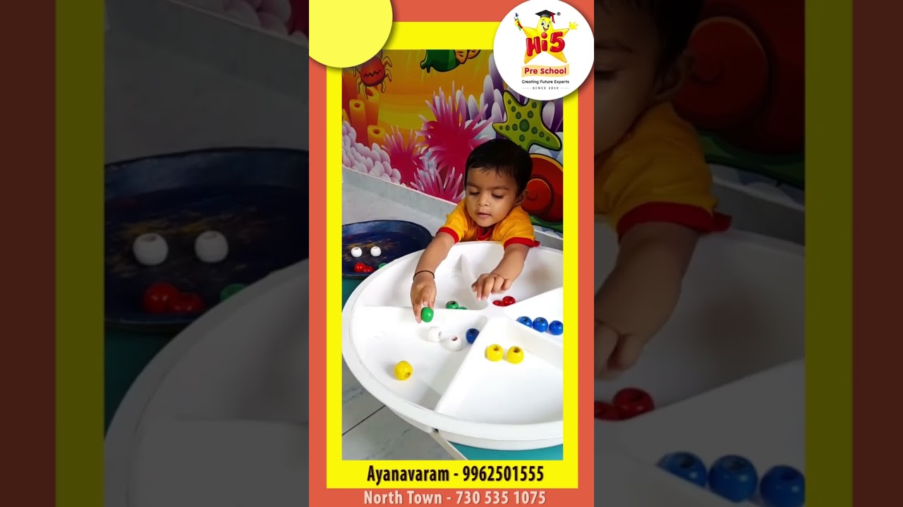 Sorting | Colors | Identification and Differentiating