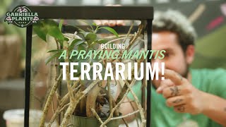 Building a Praying Mantis Terrarium!