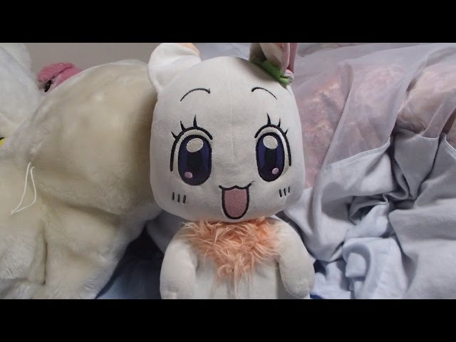 はぴはぴクローバー ちま ぬいぐるみ Happy happy clover Clover's