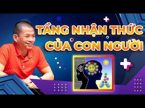 Những tầng nhận thức của con người| Phạm Thành Long