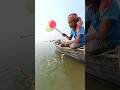 Easy Fishing Idea With Chicken Leg Hook #fishing #fishinglife #hooktrap #shorts
