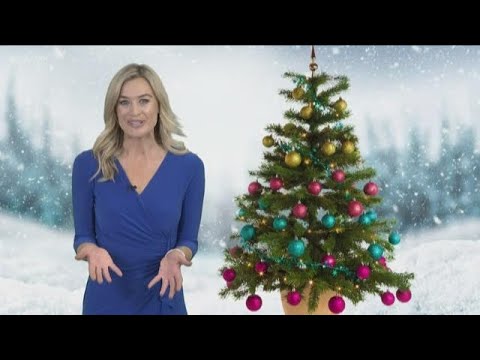 Video: Hvilke trær er grønne om vinteren?