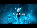 TRUE SPIRIT AFRO BEAT INSTRUMENTAL 2021 AFRO SHADOW