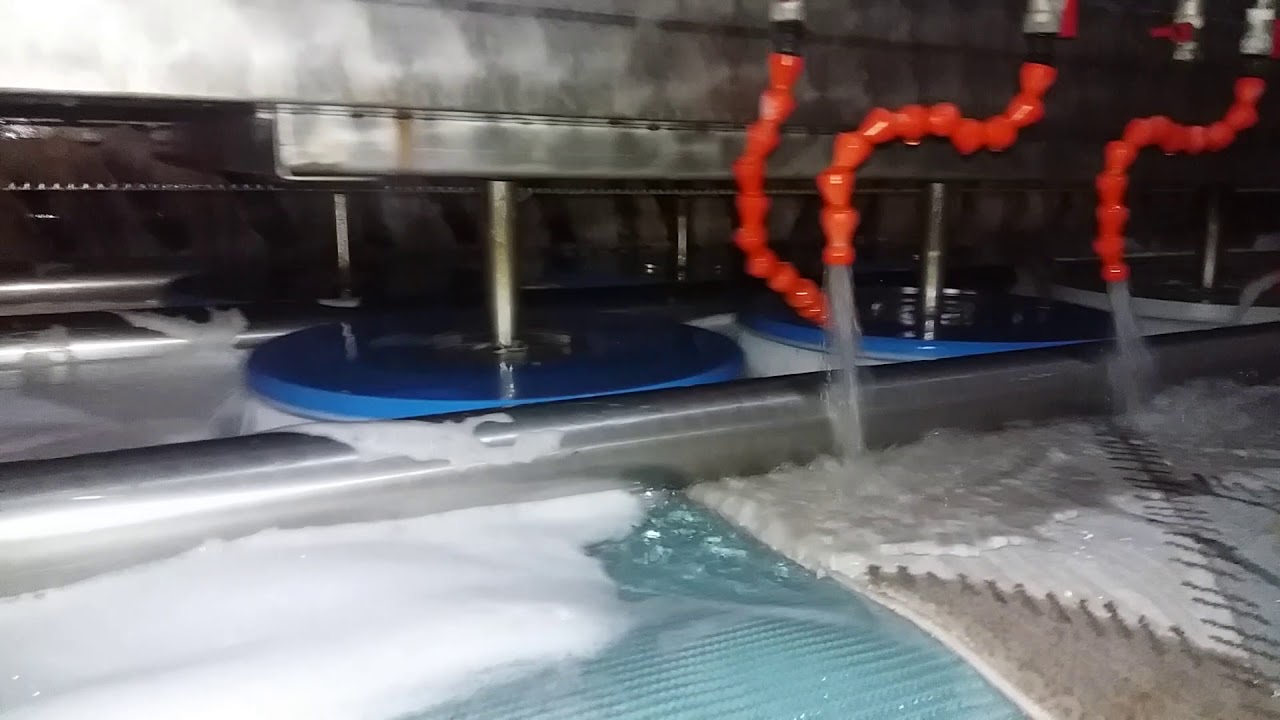 Gul Hali Yikama Yikamamiz Kesinlikle Musteri Memnuniyet