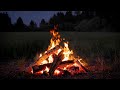 Live Crackling Campfire Soothing Crickets In The Forest Relax Sleep Sounds