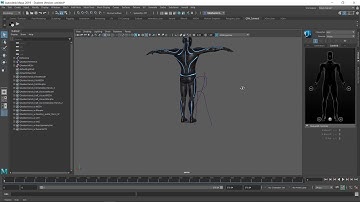 QTM 2019 Feature 11 - Import Skeletal Data into Maya