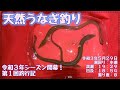 令和3年5月29日 うなぎ釣り (天然うなぎ)  第1回釣行記 ドバミミズ使用