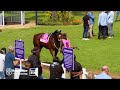 Lady Loxton has a very special partnership, Daryn Burroughs talks about the details