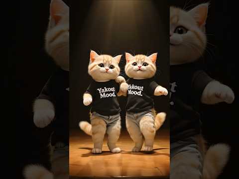 نغزة نغزة نغزة       قطط قطة بسه