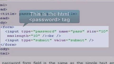 HTML Tutorial :  password field