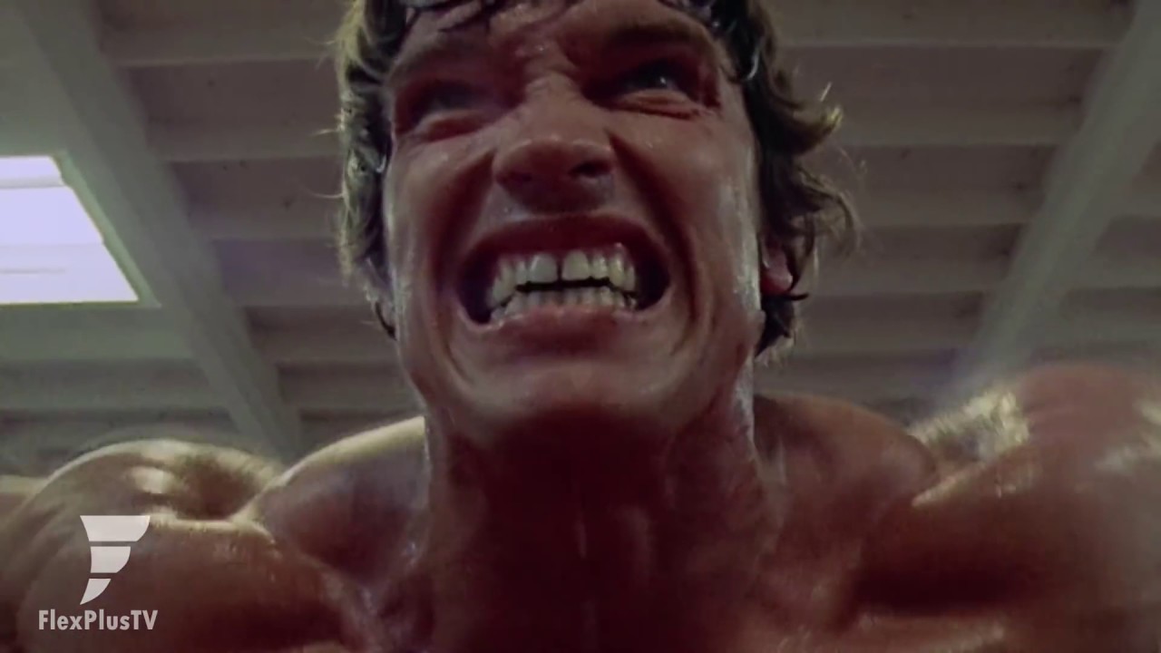 calum von moger arnold schwarzenegger version 2017