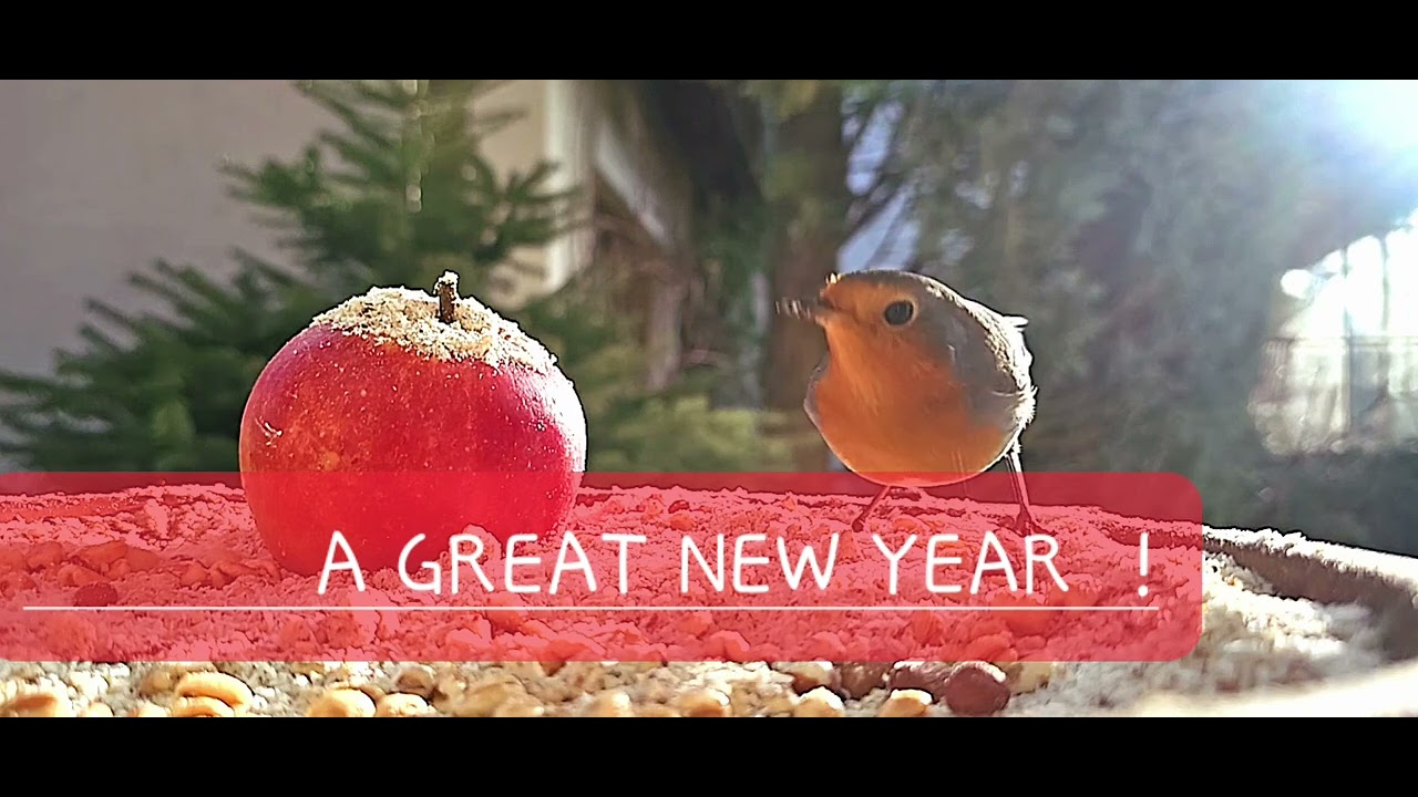 A GREAT NEW YEAR ! - YouTube