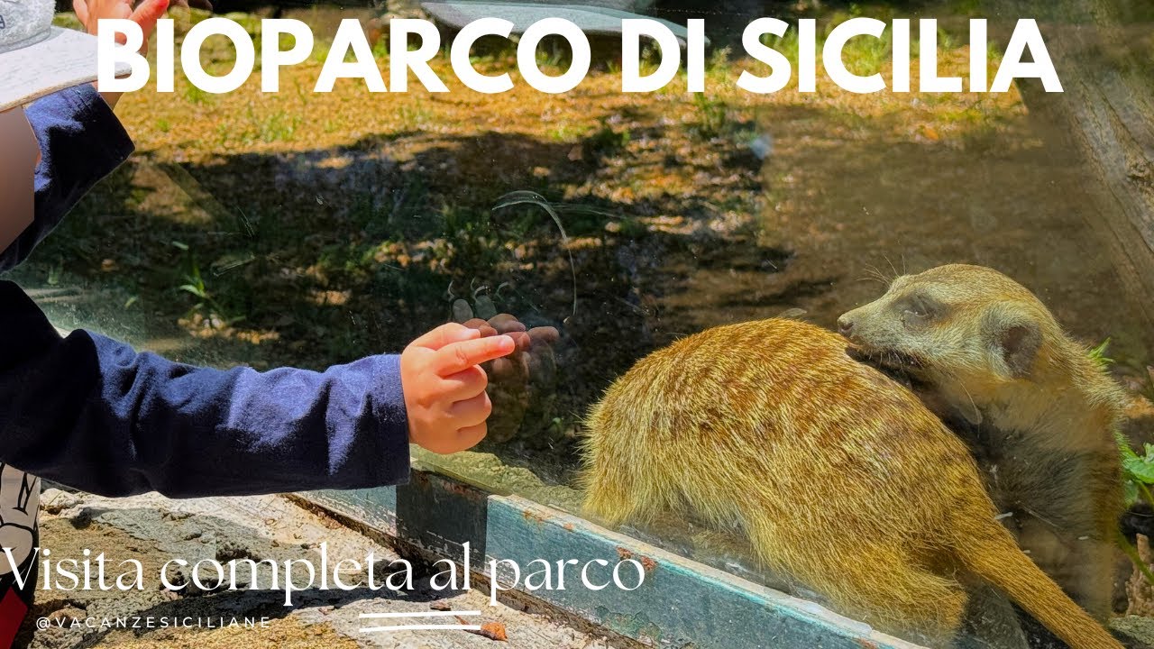 Bioparco di Sicilia - VISITA DI UNA GIORNATA AL BIOPARCO (ANIMALI E DINOSAURI)