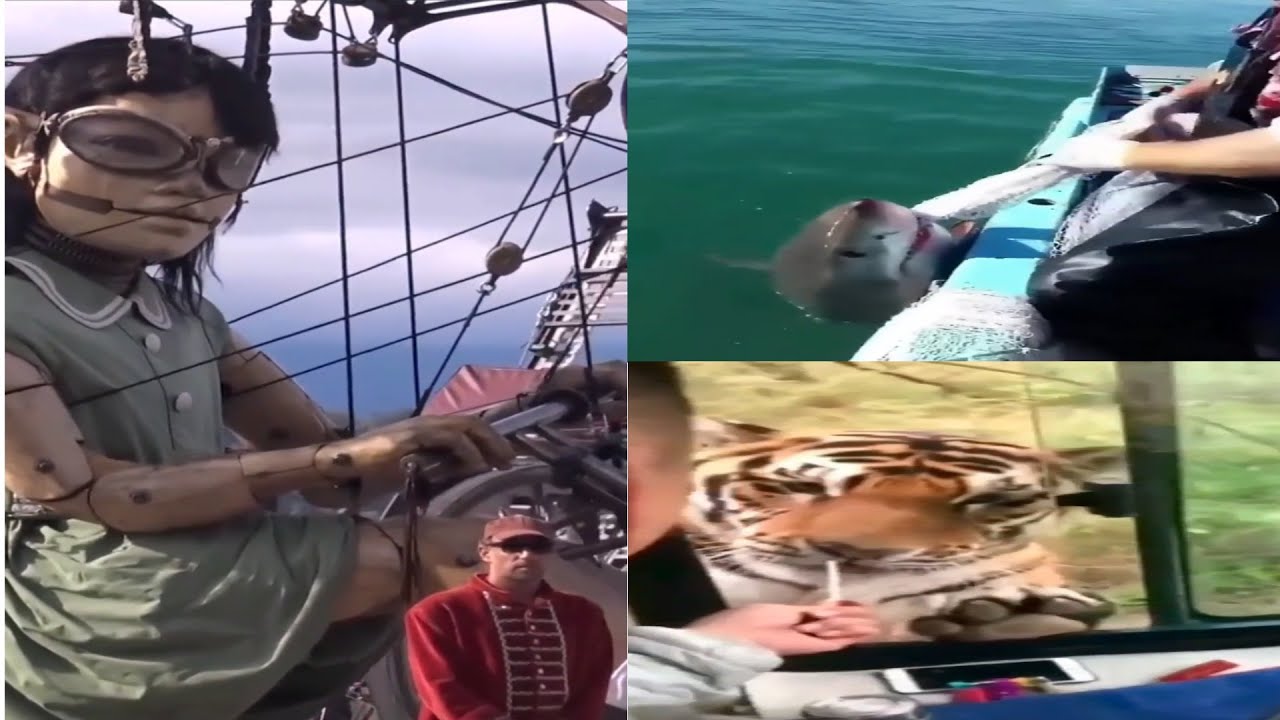 The Most Amazing Videos All Around The World Top Viral Videos Daily