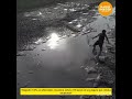 Una persona de la localidad de Alcorta rescató a 100 peces de una laguna que se estaba secando