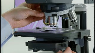 How-to: Transmitted Light Imaging - ZEISS Axioscope 5